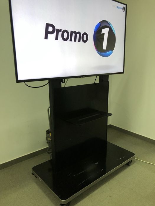 TV 165 cm cu Stativ; Televizor LED LG 65LX341C cu Suport Mobil