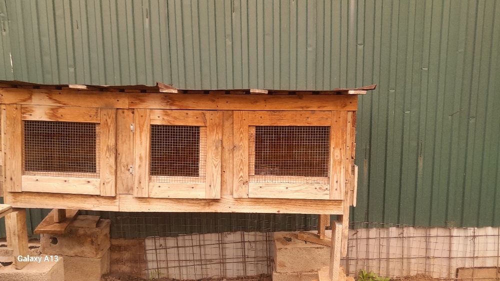 Продаю кролятники срочно