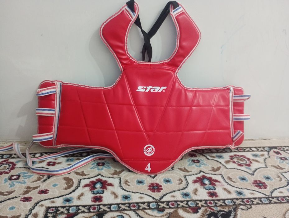 Защитка тэквандо