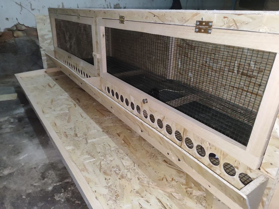 Брудер для цыплят