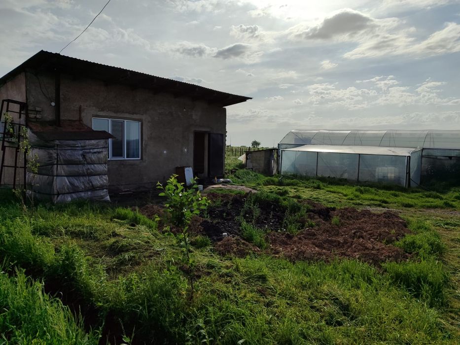 Участок теплица готовая