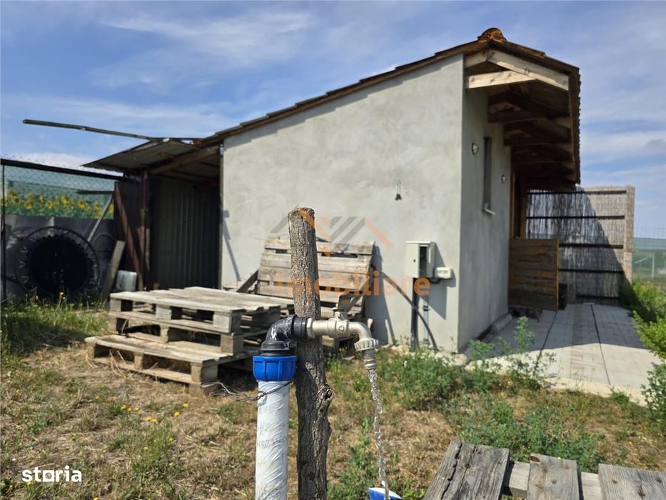 Teren Intravilan | 1000 Mp | Paleu | Bihor