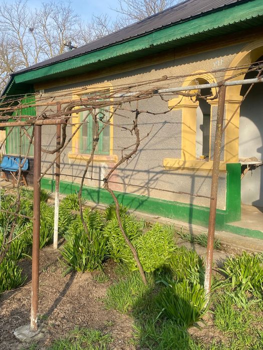 De vanzare casă batraneasca locuibila compusa din 3 camere si dependinte,fântana cu apa potabilă,2 sobe teracota,curent electric,pivnita,curte 2000 mp