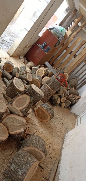 Taiere lemn si doborare