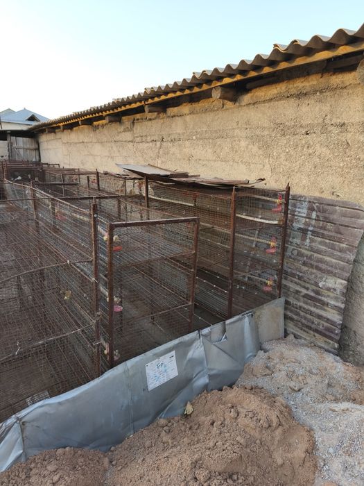 Продам клетки перепелиные