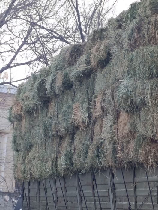 Продам клевер перемешку травой