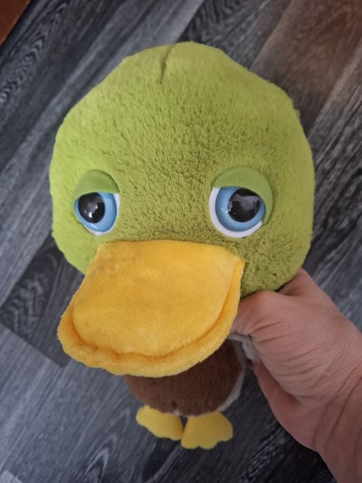 Jucărie plus RĂȚOI