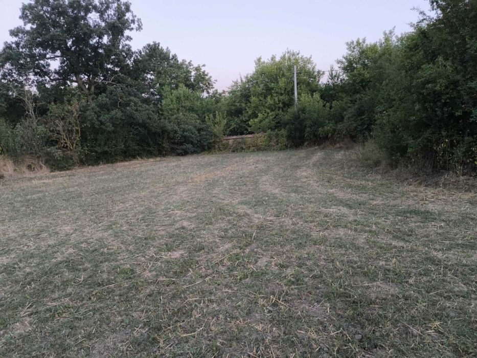 Продава се Парцел в с. Якимово, Област Монтана - 3100 кв.м за 2 €/кв.м - Снимка #5