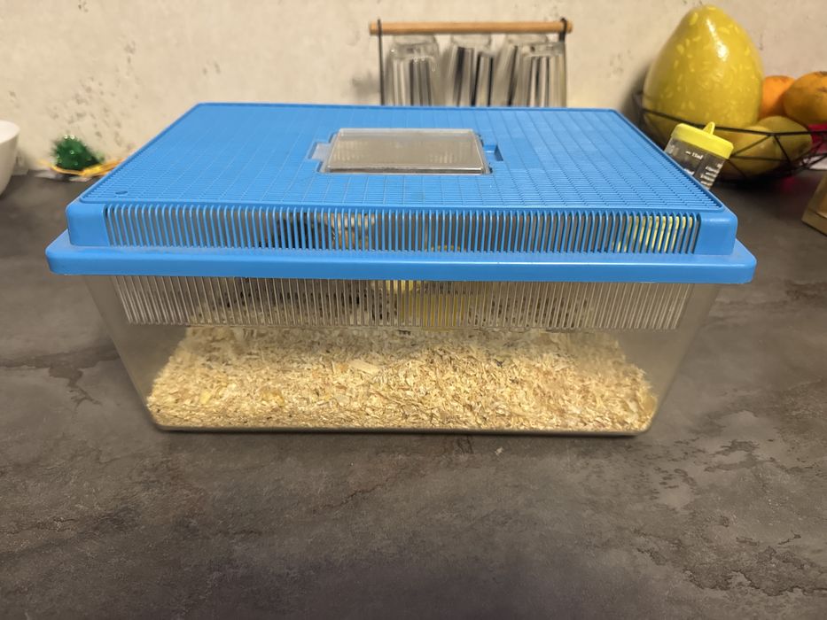 Set complet hamster pitic Roborovski (cușcă + accesorii + hrană)