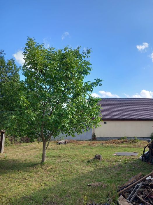 Casă cu teren 921 mp în Tărlungeni, Brașov | Lângă pădure | Utilități