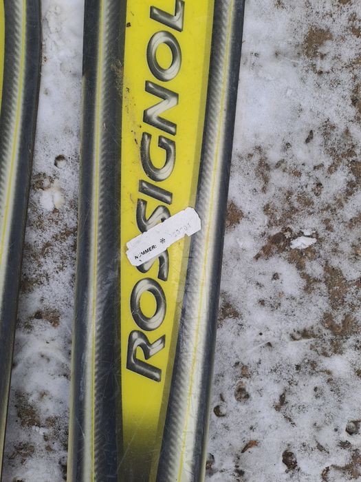 Schiuri ski rosignol