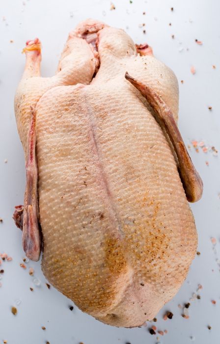 Продам мясо птицы уток