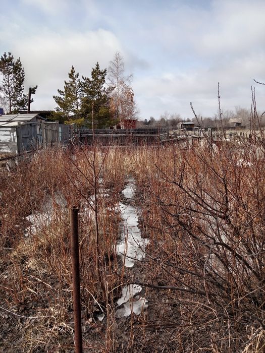 Продам дачу общество саюз