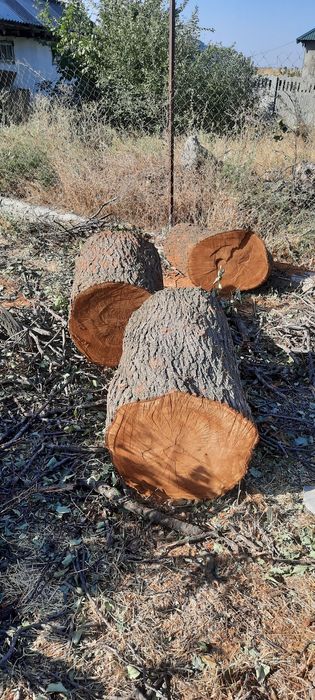 Пеньки для мясников