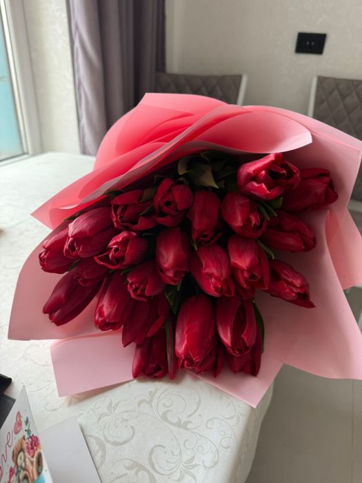 Тюльпан цветыы красивые