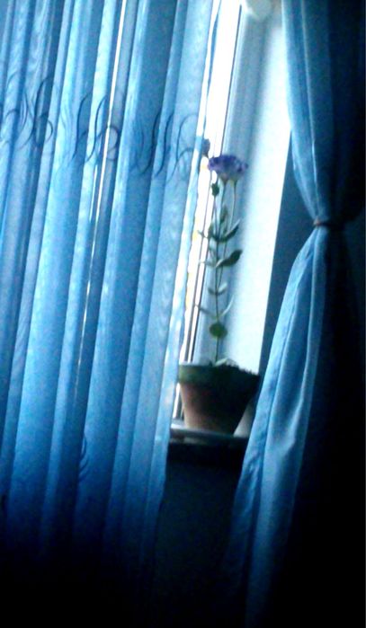 Perdea bleu 2,60m cu rejansă / 2,20m pentru galerie + 20 inele