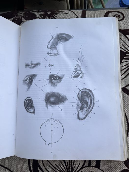 Книга Анатомия для художников