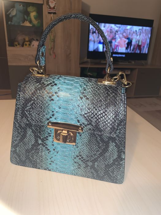 Geanta Flavia Passini