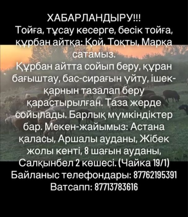 Құрбан айтқа: Қой, тоқты, марқа сатамыз!!!