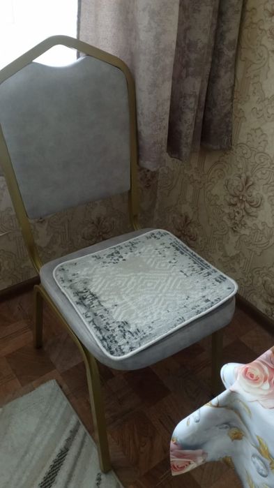 Стул с мягкой сидушкой