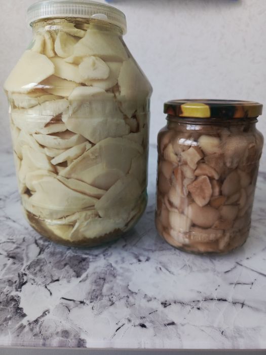 Продам грибы грузди маслята