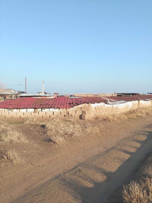 ЗУДЛИК БИЛАН фермер хўжалиги сотилади!