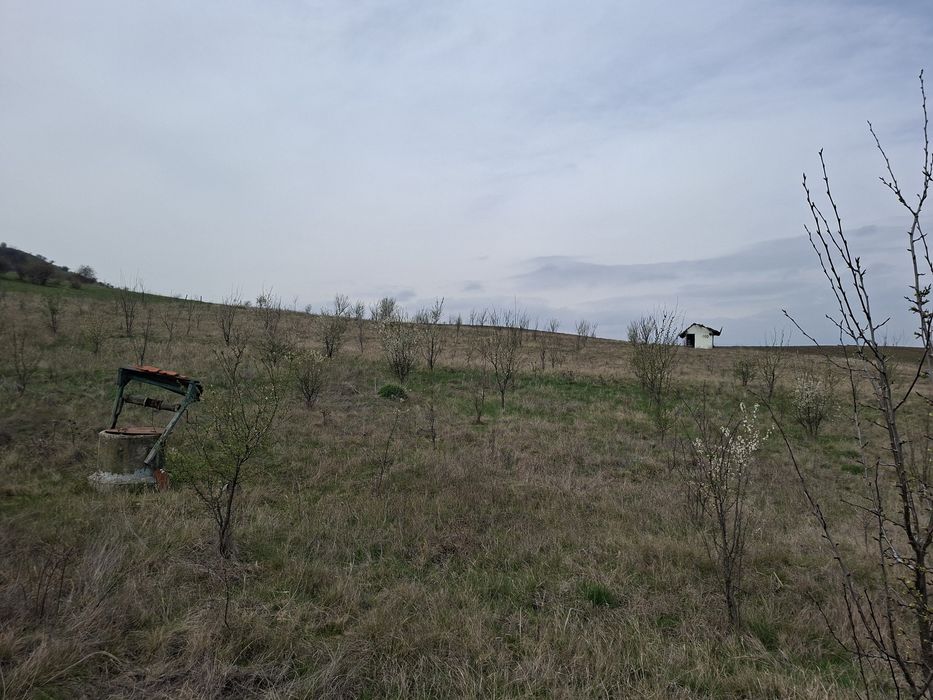 Земеделска земя.