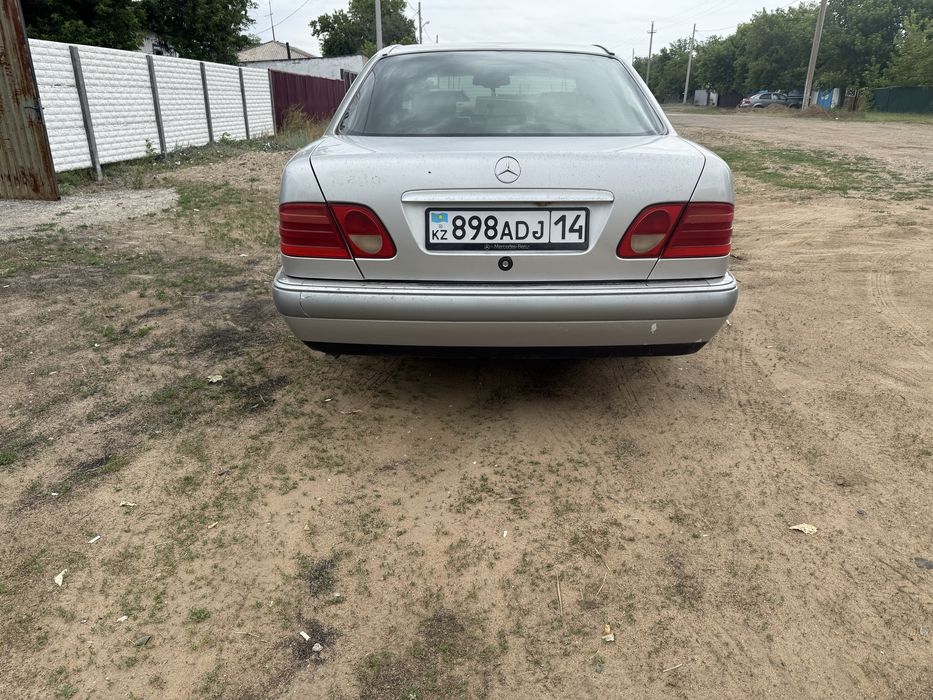 Продам живой W 210