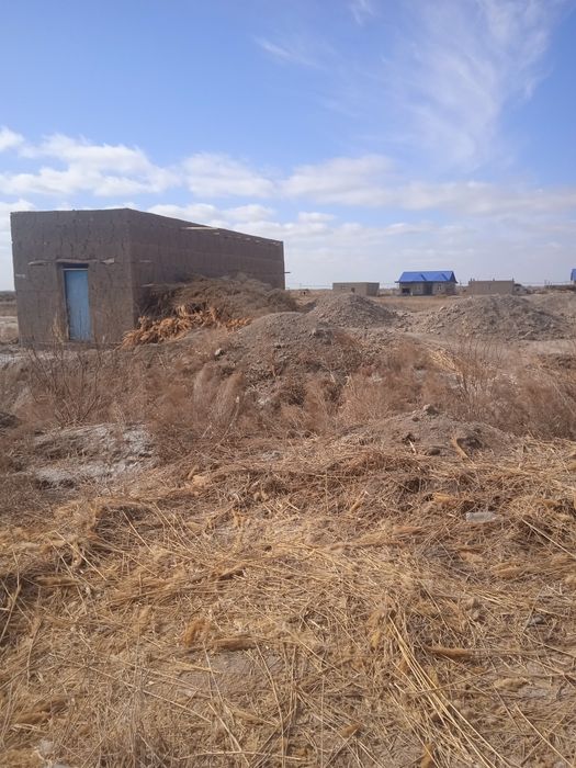 Dakementi ozimi nomimda