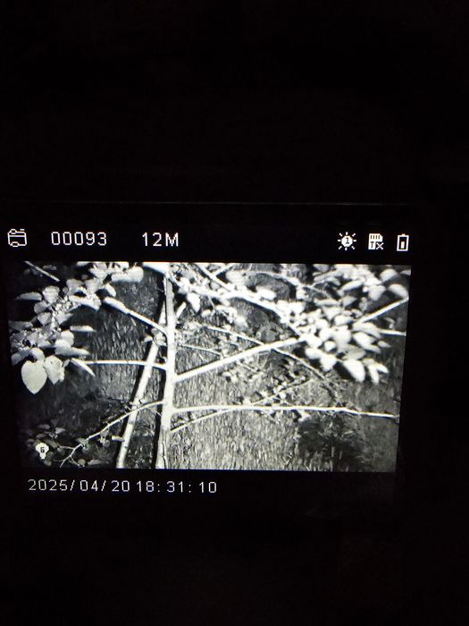 Бинокль ночного видения