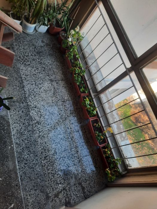 Профисонално почистване