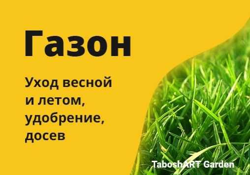 Газон. Комплексный уход. Устройство газона.