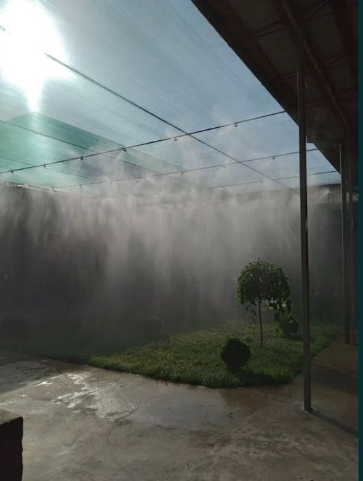 Посевной рулонный газон