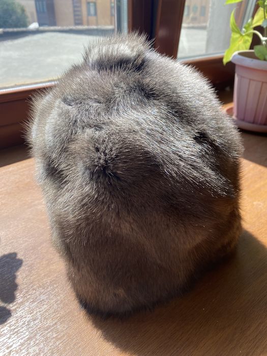 Продается норка