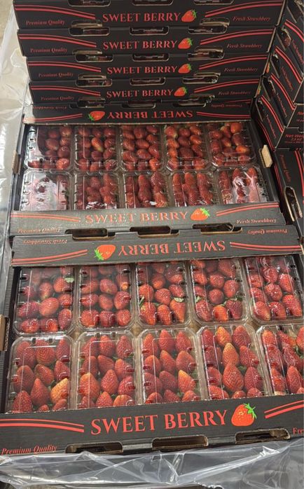 Клубника оптом и в розницу