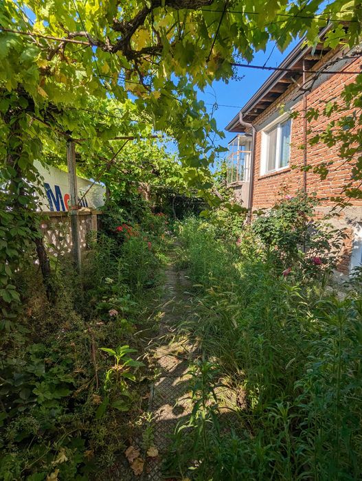 Почистване и поддръжка на дворове, градини и външни пространства.