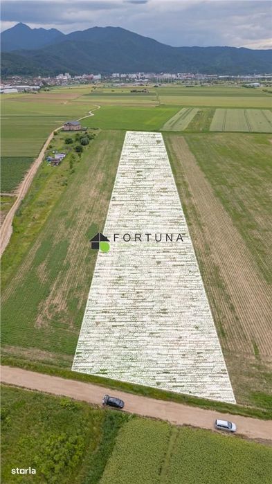 Loturi de grădină 400 mp - Săcele