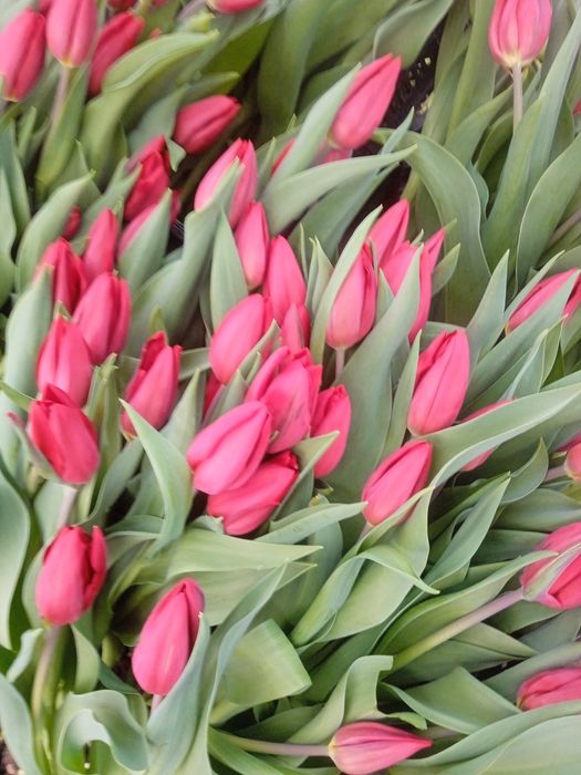 Массаж рослабляюши