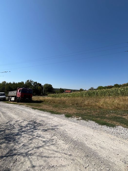 Teren Betfia și Hidiselu de Sus
