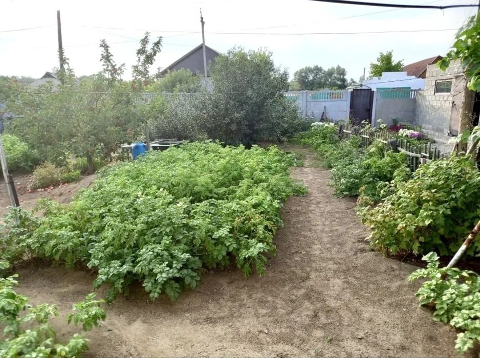 Продам дом в пригороде Павлодара
