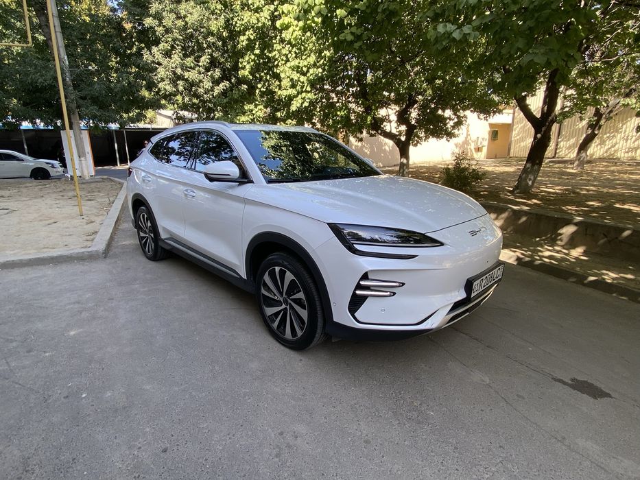 BYD chepiyon 2023