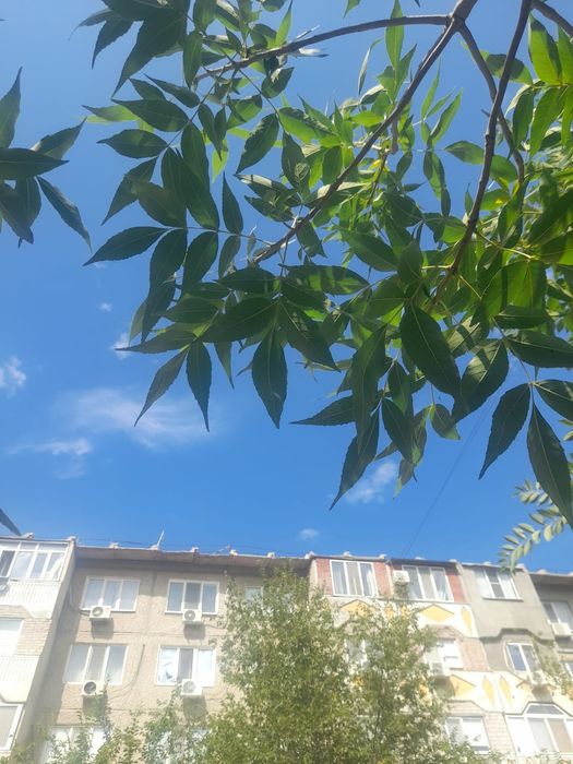 Квартира посуточно, ночь, час 1500тг, ночь