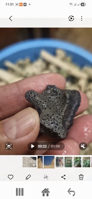 Продам битый коралл для аквариума.