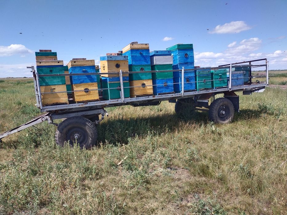 Продам прицеп пчеловолный .