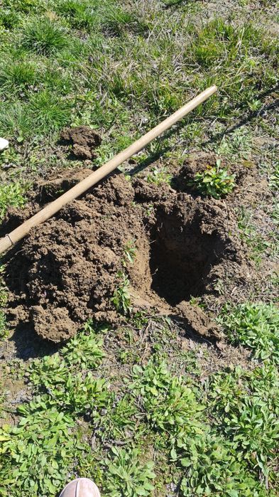 Carte de bucate, cele mai bune bucate