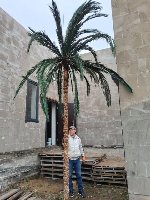 Продам искусственные пальмы