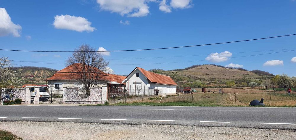 Teren intravilan 3.544 mp la DN1/E60 – Uileacu de Criș, jud. Bihor