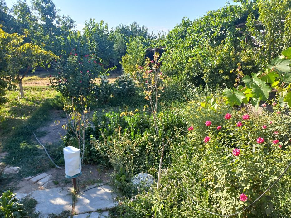 Продаётся дом с огородом