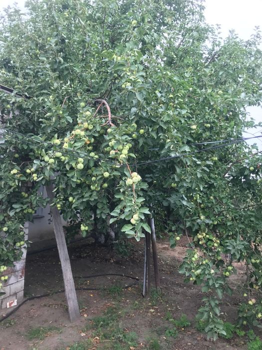 Продам дом, село Пресное