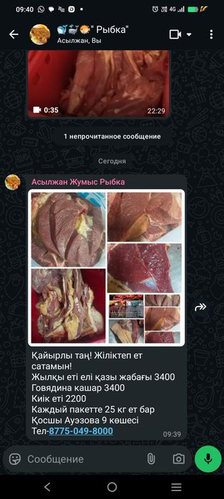 Мясо говядина,конина